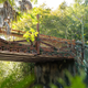 Illustration for article titled Disney's Avatar Theme Park Finally Opens Next Summer